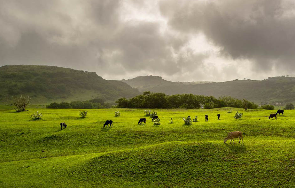 Khareef
