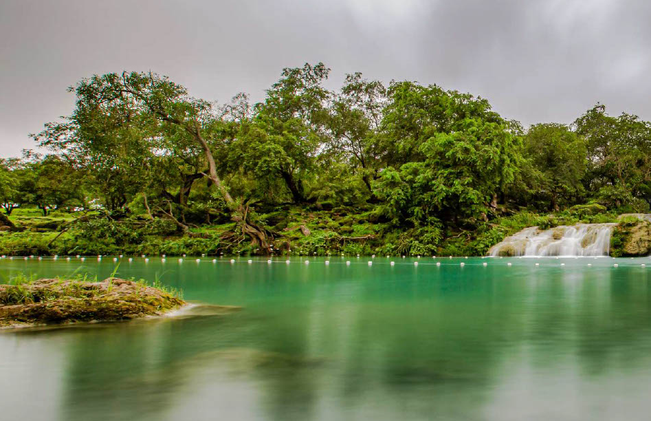 Nature