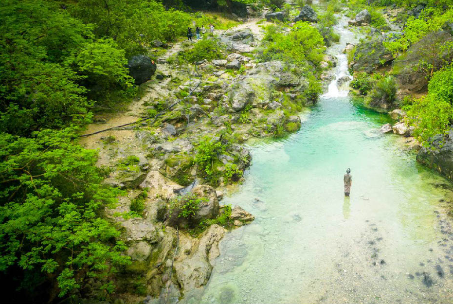 Nature